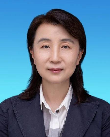 林航（北京市海淀区人民政府副区长、区红十字会会长（兼）、区工商联主席）