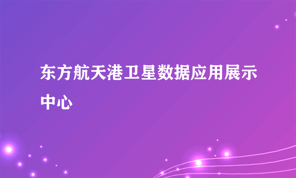 东方航天港卫星数据应用展示中心