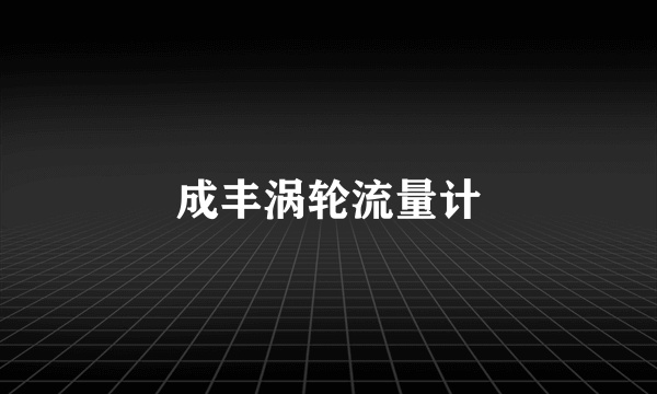 成丰涡轮流量计