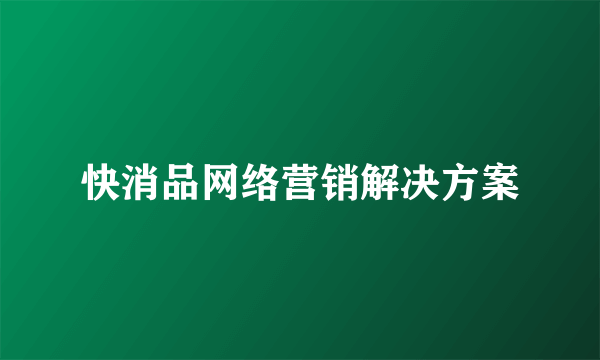 快消品网络营销解决方案