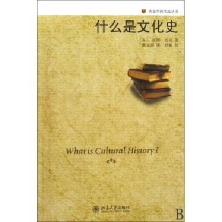 什么是文化史（2009年北京大学出版社出版的图书）