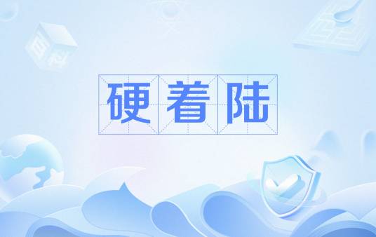 硬着陆（航空运输术语）