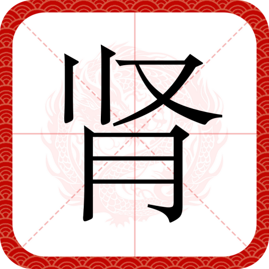 肾（汉语文字）