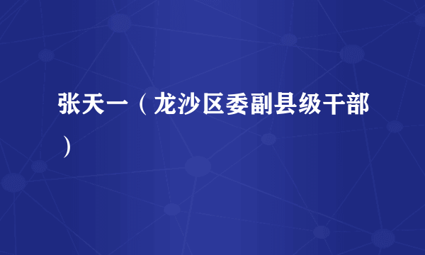 张天一（龙沙区委副县级干部）
