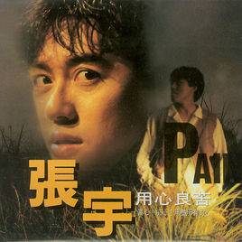 情有独钟（张宇演唱歌曲）