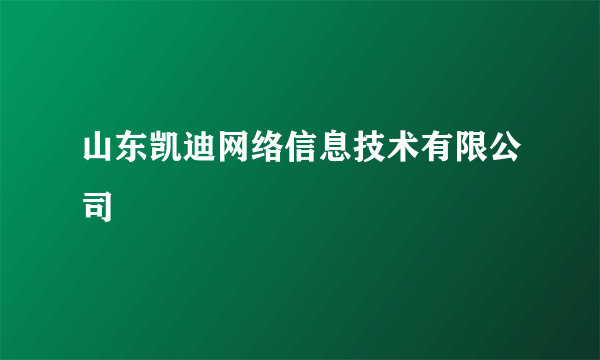 山东凯迪网络信息技术有限公司