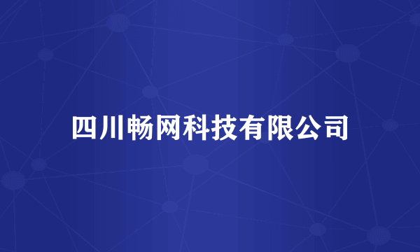 四川畅网科技有限公司