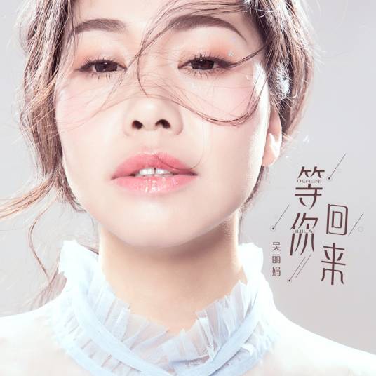 等你回来（吴丽娟演唱歌曲）