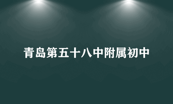 青岛第五十八中附属初中