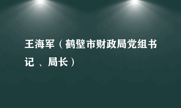 王海军（鹤壁市财政局党组书记 、局长）