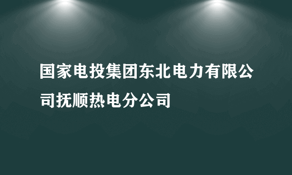 国家电投集团东北电力有限公司抚顺热电分公司