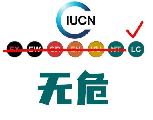 无危