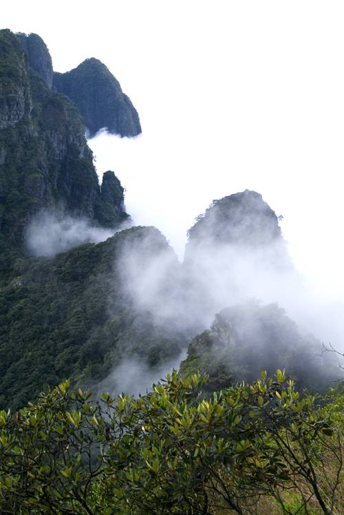 广西大瑶山国家级自然保护区