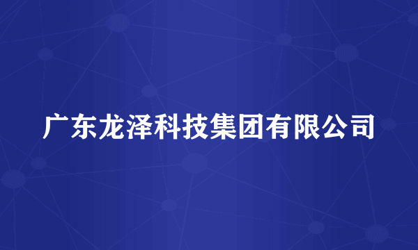 广东龙泽科技集团有限公司
