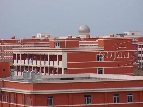 北京科技大学天津学院双证班