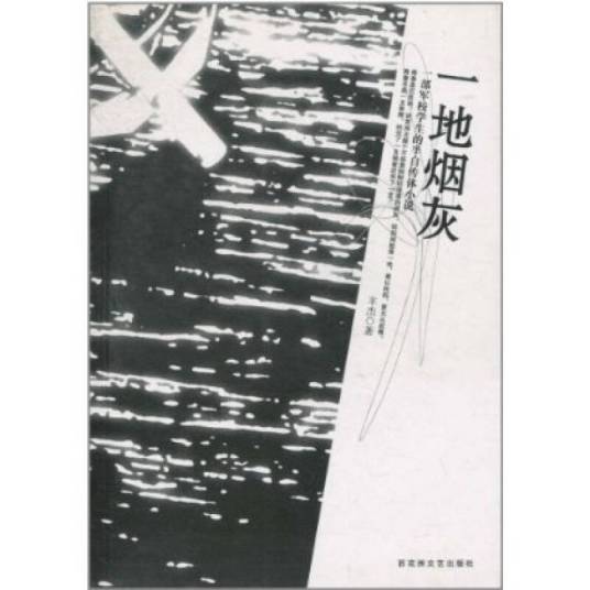 一地烟灰（2009年百花洲文艺出版社出版的图书）