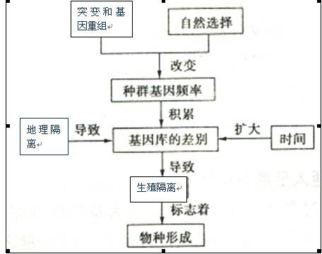 现代达尔文主义