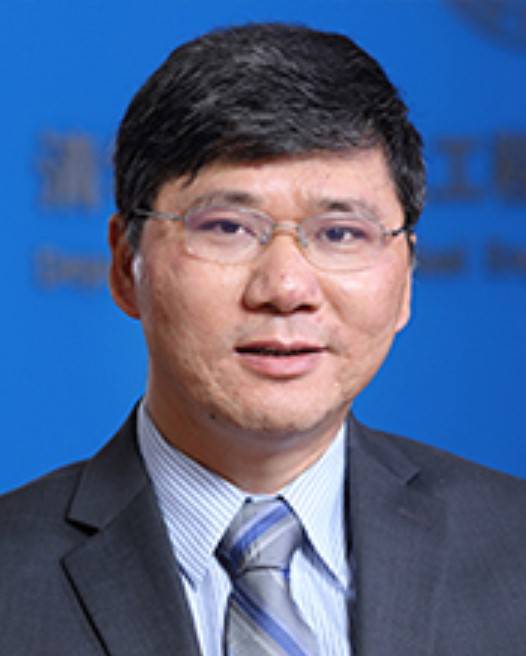 程林（清华大学电机系长聘教授）