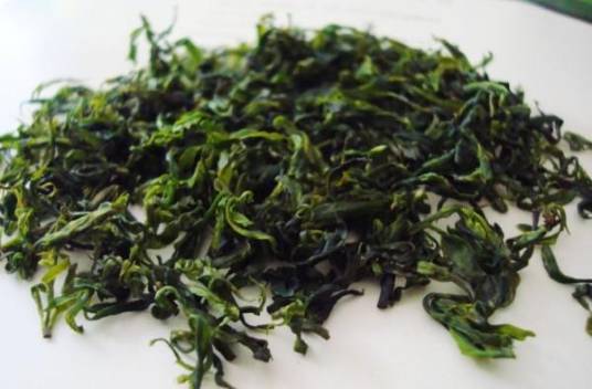 余庆小叶苦丁茶