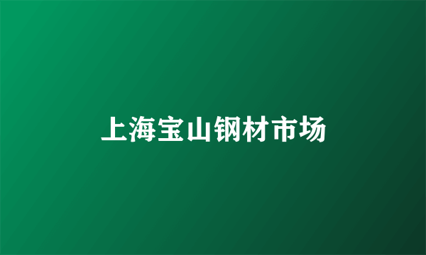 上海宝山钢材市场