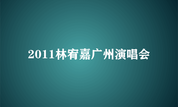 2011林宥嘉广州演唱会