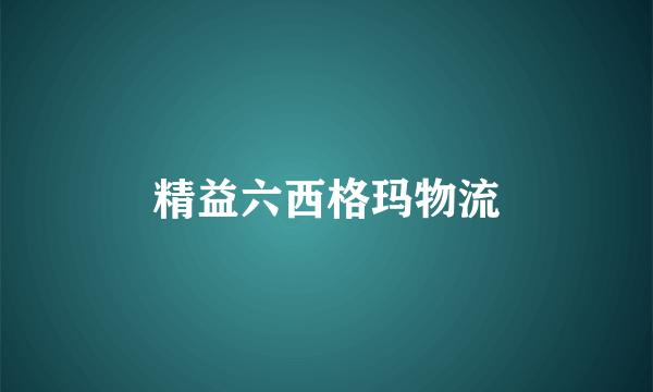 精益六西格玛物流
