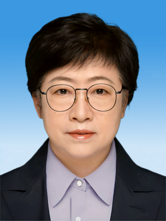 王淑梅（最高人民法院审判委员会副部级专职委员、第三巡回法庭分党组书记、庭长、二级大法官）
