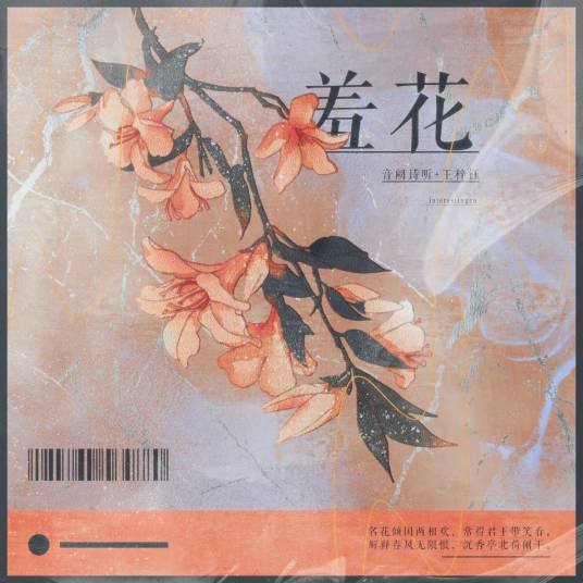 羞花（音阙诗听/王梓钰演唱歌曲）