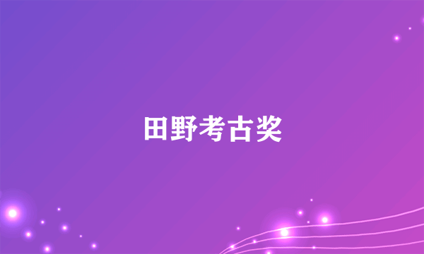 田野考古奖