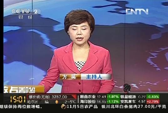 方英（CCTV-2主持人）