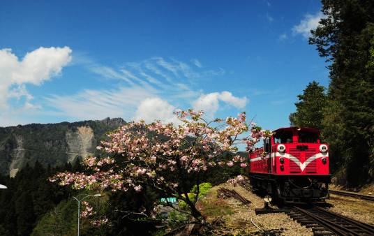 阿里山景区