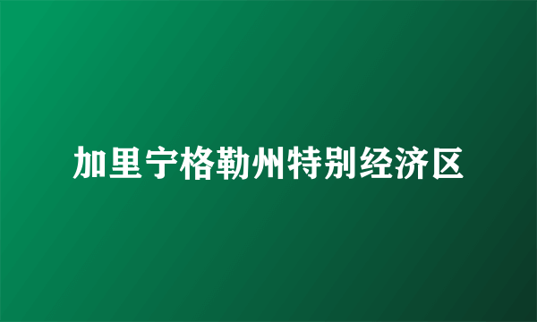 加里宁格勒州特别经济区