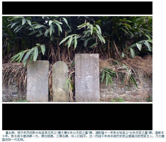 长孙无忌衣冠冢