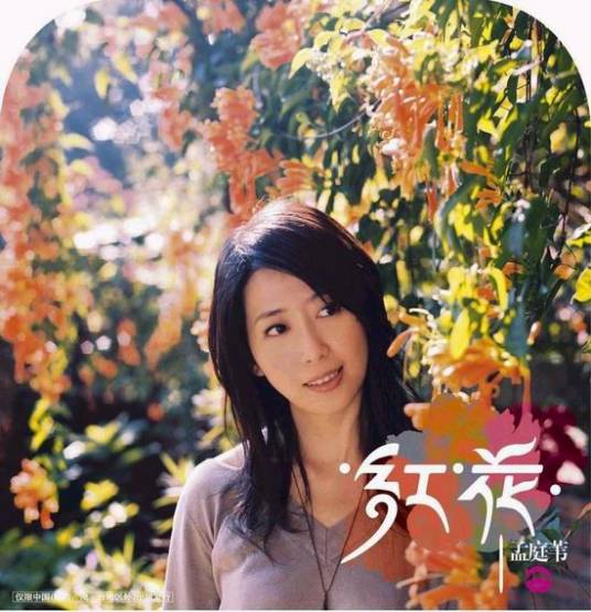 冬季到台北来看雨（孟庭苇2005年重新改编录制的歌曲）