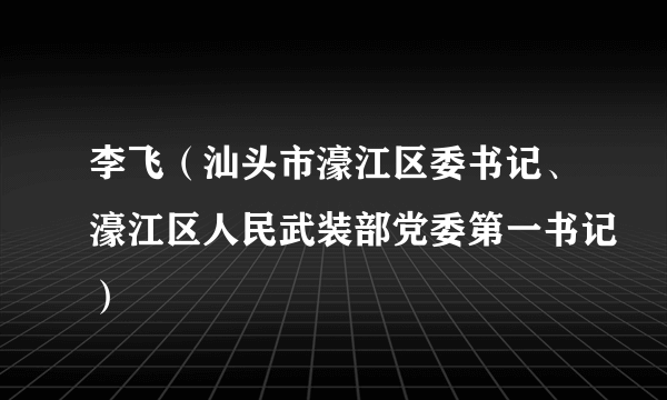 李飞（汕头市濠江区委书记、濠江区人民武装部党委第一书记）
