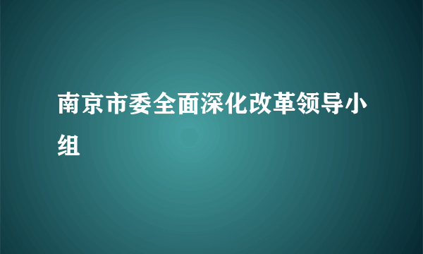 南京市委全面深化改革领导小组