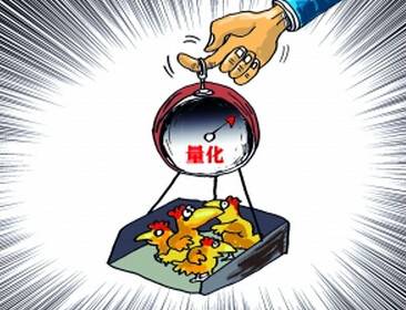 量化投资基金