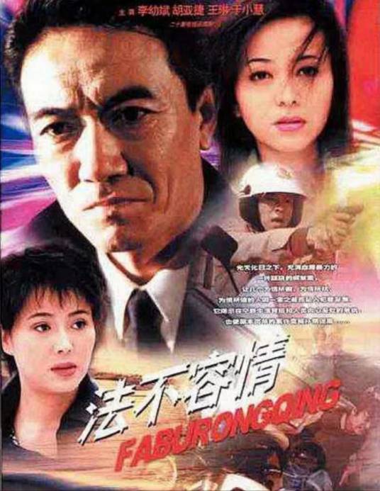 法不容情（2001年唐敬睿执导电视剧）