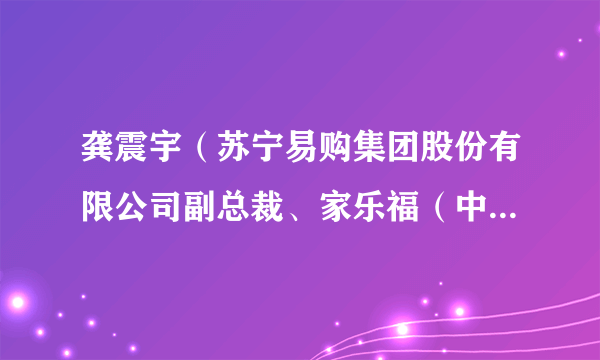 龚震宇（苏宁易购集团股份有限公司副总裁、家乐福（中国）CEO）