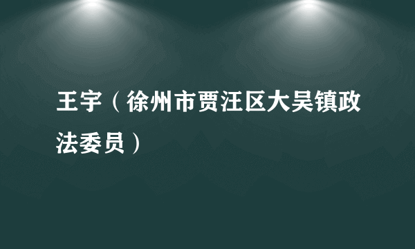 王宇（徐州市贾汪区大吴镇政法委员）