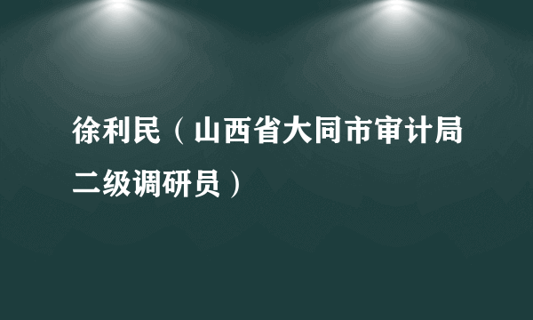 徐利民（山西省大同市审计局二级调研员）