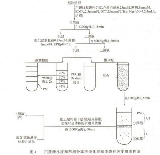离心技术