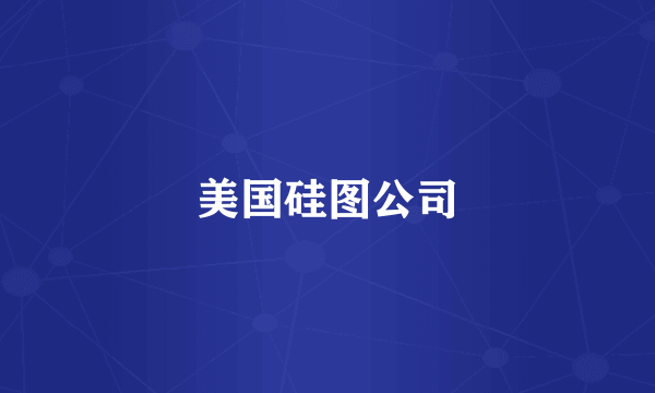 美国硅图公司