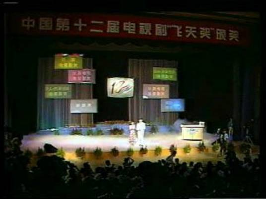 第12届中国电视剧飞天奖