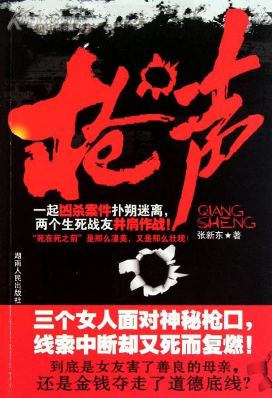 枪声（2010年湖南人民出版社出版的图书）