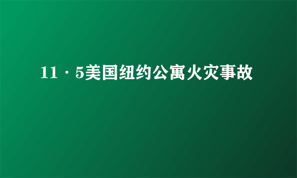 11·5美国纽约公寓火灾事故