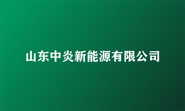 山东中炎新能源有限公司