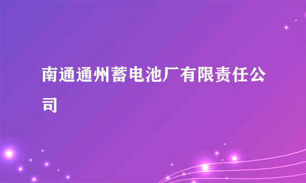 南通通州蓄电池厂有限责任公司