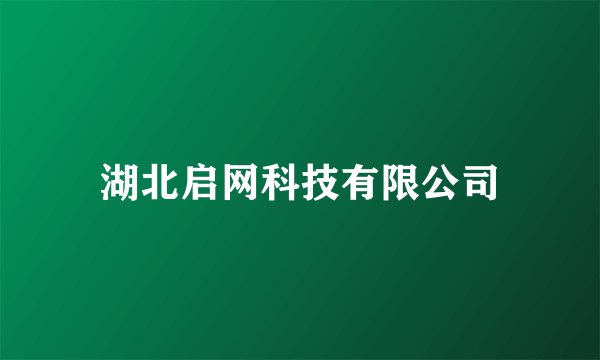 湖北启网科技有限公司