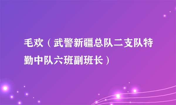 毛欢（武警新疆总队二支队特勤中队六班副班长）